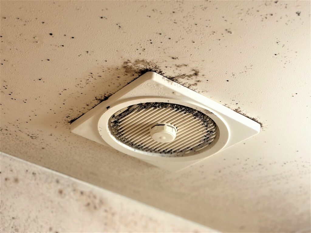空き家のカビ対策はどうすればいい？カビ発生原因から予防法まで解説