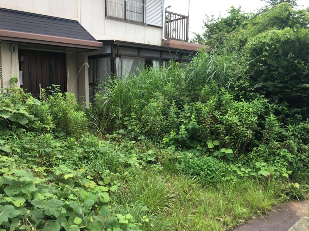 空き家の雑草を放置するリスクや対策方法を解説