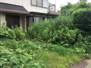空き家の雑草を放置するリスクや対策方法を解説