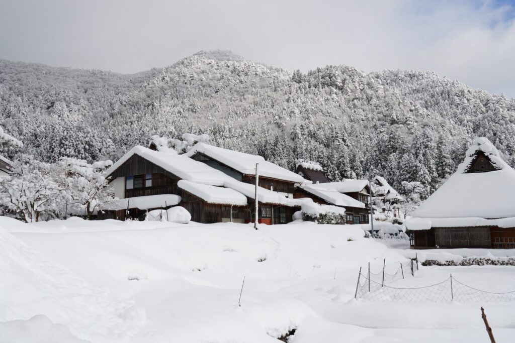 冬の空き家管理の準備や管理方法、対策しない場合のリスクまで解説